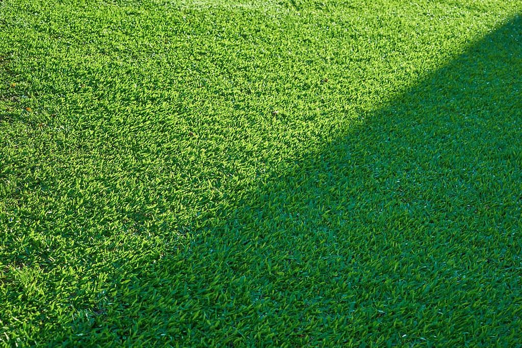 cesped artificial murcia