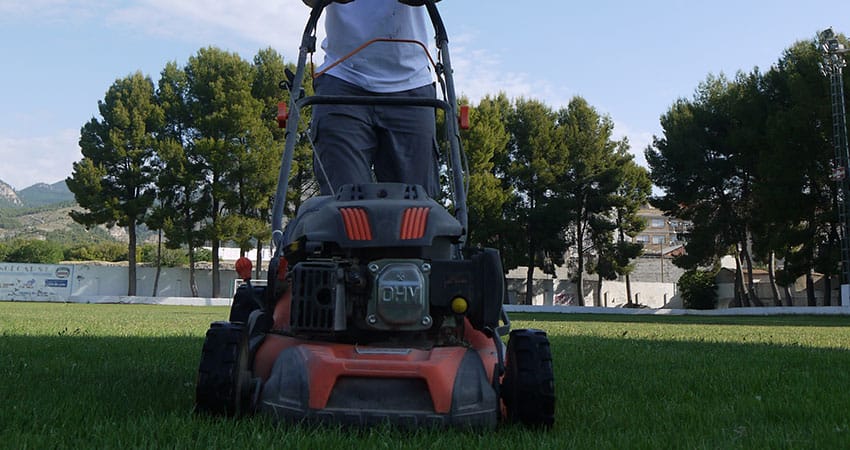 mantenimiento de jardines Murcia